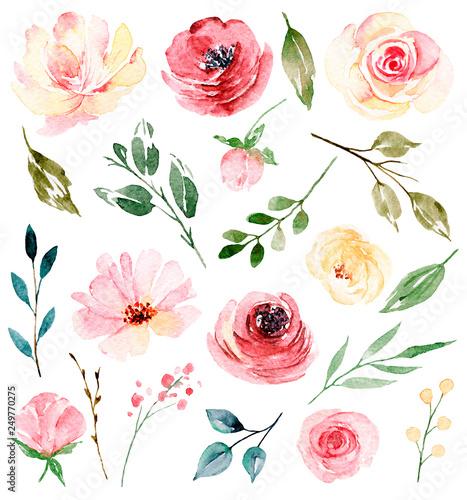 Watercolor flowers and leaves set, floral illustration for greeting card, inv...