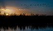 Sunset, Loxahatchee Wildlife Refuge