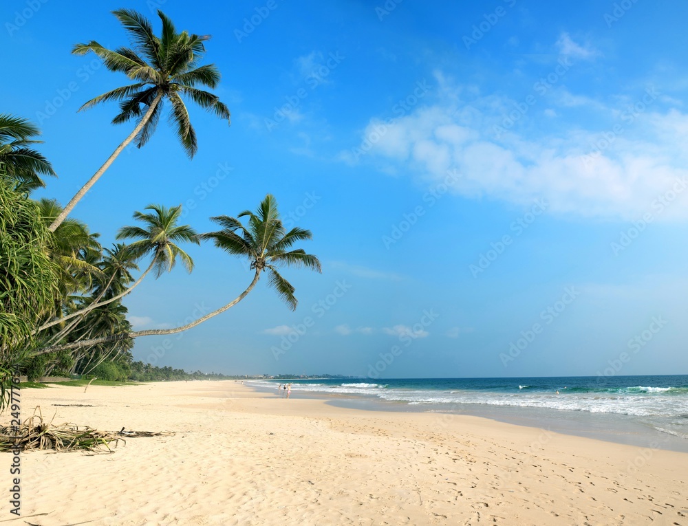 tropical beach with palm trees Sri Lanka Stock Photo | Adobe Stock