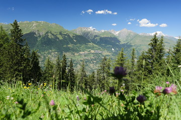 Wall Mural - Paysage de montagne