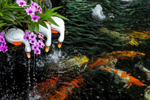 Gardening Design With Duck Statues Catching Golden Carp Fish