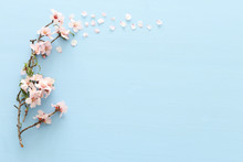 Photo Of Spring White Cherry Blossom Tree On Pastel Blue Wooden Background. View From Above, Flat Lay