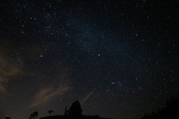 blue dark night sky with many stars above field of trees. milkyway cosmos background