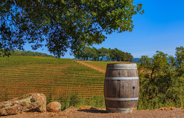 Wall Mural - Rows of grape vines on rolling hills with a wine barrel in the foreground at a vineyard in the spring in Sonoma County, California, USA