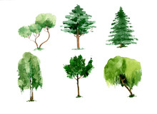Set Of Green Watercolor Trees. Hand Drawn Illustration Isolated On White Background