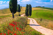 Summer Tuscany landscape with grain fields and rural road, Italy