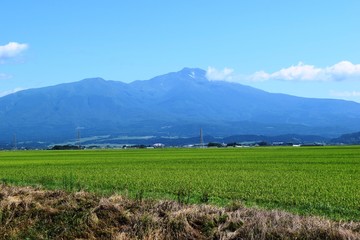 鳥海山（出羽富士）／ 山形県の最高峰、標高2,236mの鳥海山（ちょうかいさん）です。日本百名山、日本百景、日本の地質百選に選定されている活火山で、山頂に雪が積もった姿が富士山にそっくりなため、出羽富士（でわふじ）と呼ばれ親しまれています。