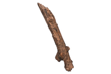 Single dry tree branch, isolated on white background. Stick tree branch from nature for design.
