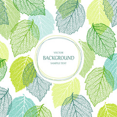 Wall Mural - background with blue and green leaves. nature banner. frame with plants. template