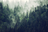 Fototapeta Krajobraz - Misty mountain landscape