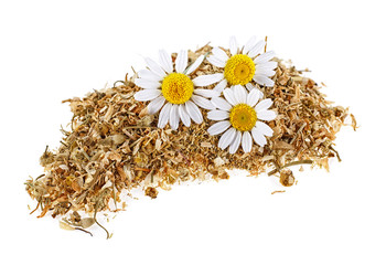 Chamomile tea with fresh flowers isolated on white background