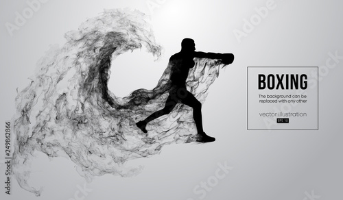 Cuadros en Lienzo Abstract silhouette of a boxer, mma, ufc fighter on the white background from particles, dust, smoke, steam