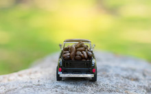 Roasted Coffee Beans On A Model Car