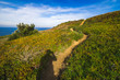 © icephotography - Traveler taking photo of her shadow on a green hill by the sea walking on a path