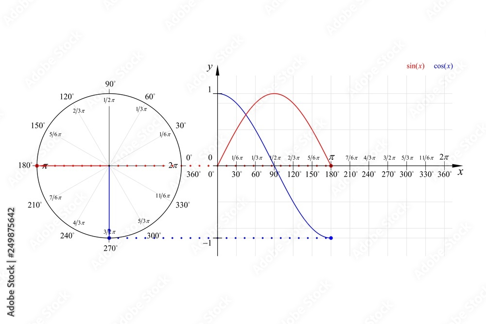 Education Series Math Sine Cosine Wave Vector Line Diagram 180° Degrees - obrazy, fototapety, plakaty 