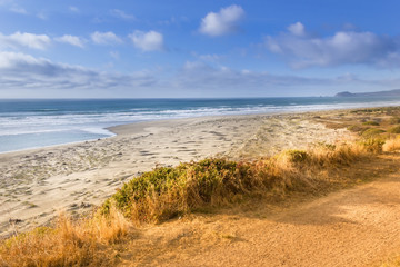 Wall Mural - Sandy beach California