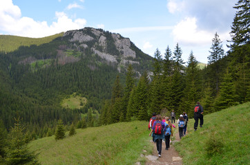 hiking,mountain,nature,landscape,mountains,hike,people,walk,tourist,travel,forest,hiker,adventure,sky,trail,outdoors,family,woman,summer,trekking,view,hill,road,green,beautiful,backpack,young,rock,hea