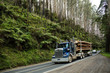 Logging truck on a road through a temperate rainforest near Melbourne in Victoria, Australia
