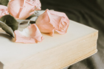 a bouquet of pink roses lie on the retro pages of a vintage book. greeting card image concept