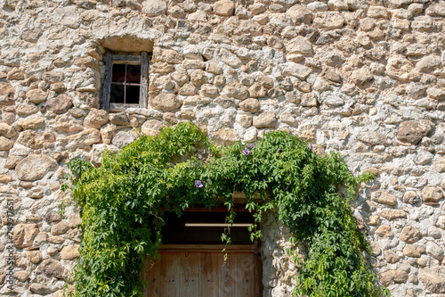 Enredadera En Casa De Piedra Foto De Stock Adobe Stock