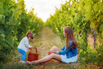 mom sits on land the daughter is holding a basket in a vineyard