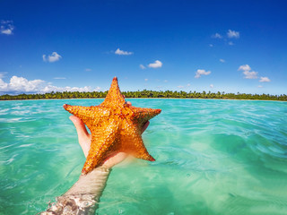 Wall Mural - Starfish in hand, Caribbean sea and beautiful tropical island as background.  Punta Cana, Dominican Republic