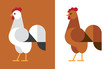 White and brown rooster flat icon.