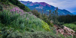 Purple mountains majesty in the Colorado Rocky Mountain Wildernes 
