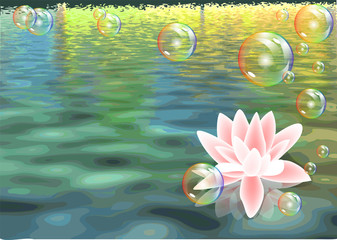 lotus and bubbles