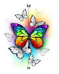 Wall Mural - Composition with rainbow butterfly