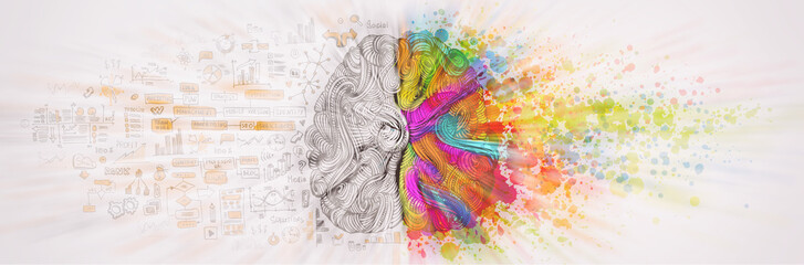 left right human brain concept, textured illustration. creative left and right part of human brain, 