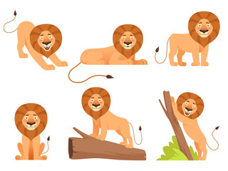 Poster - Lion cartoon. Wild jungle animal pride happy safari vector characters isolated. Illustration of lion mammal, zoo jungle animals