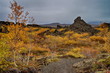 © anderm - Old Volcanic area of Dimmuborgir in Iceland