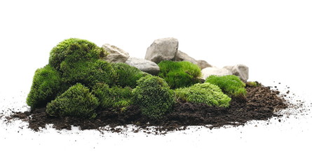 green moss with dirt, soil and decorative stone, rock isolated on white background