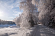 winter landscape with road and trees
