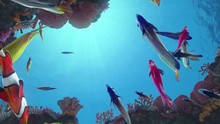 Seamless Loop Of Colorful Fish Swimming Around A Vibrant Coral Reef With Sun Rays In The Back - High Quality 3d Animation