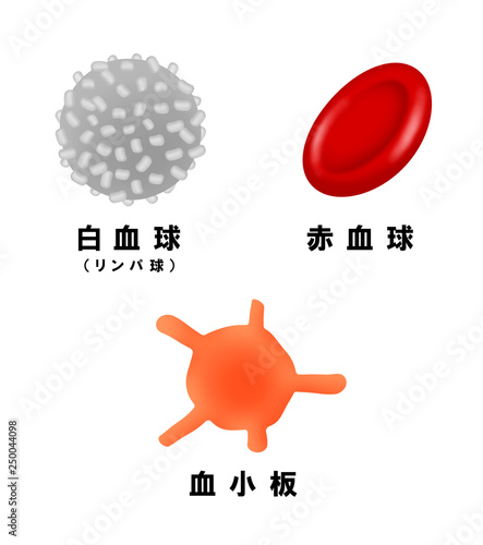 白血球と赤血球と血小板stock Illustration Adobe Stock 白血球と赤血球と血小板stock Illustration Adobe Stock