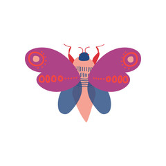 Wall Mural - Cute Colorful Moth Insect, Top View Vector Illustration