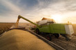 Pouring soy bean grain into tractor trailer after harvest