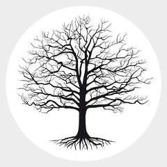 Wall Mural - Black silhouette of a bare tree . Vector illustration.