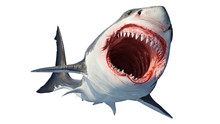 White Shark Marine Predator With Big Open Mouth And Teeth. 3D Rendering