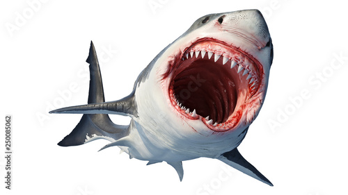 Cuadros en Lienzo White shark marine predator with big open mouth and teeth