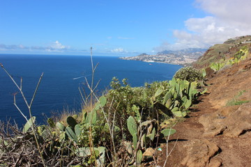 Vista del versante est del'isola madeira