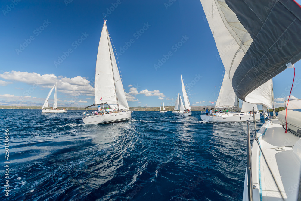 Sailing regatta yachts competition - obrazy, fototapety, plakaty 