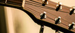 Guitar instrument, frets, strings & tuning pegs close up. in country n western / real / folk / authentic style.