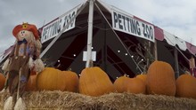 Pumpkin Patch Petting Zoo Entrance Sign
