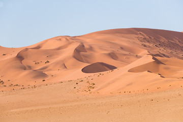 Wall Mural - African landscape, beautiful red sand dunes and nature of Namib desert, Sossusvlei, Namibia, South Africa