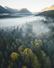 Naklejka góra jesień las niebo park