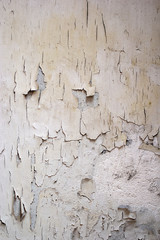 Wall Mural - The cement wall is damaged