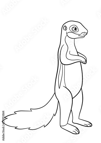 Coloring Pages Little Cute Xerus Smiles Buy This Stock